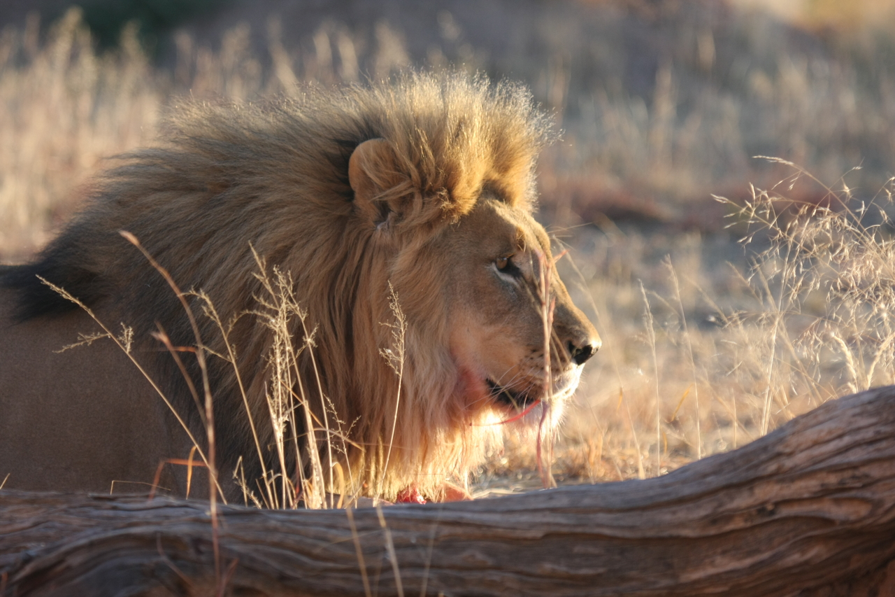 [8196] 2016_06_23_11_52_09_Africa_Canon_EOS_40D_IMG__09122.jpg