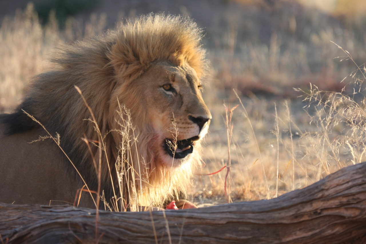[8201] 2016_06_23_11_52_11_Africa_Canon_EOS_40D_IMG__09124.jpg