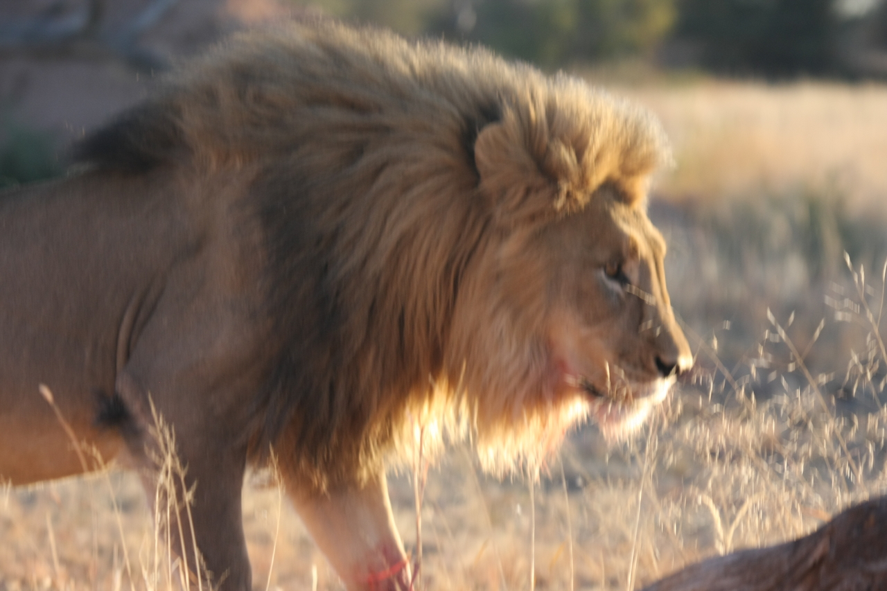 [8220] 2016_06_23_11_52_15_Africa_Canon_EOS_40D_IMG__09131.jpg