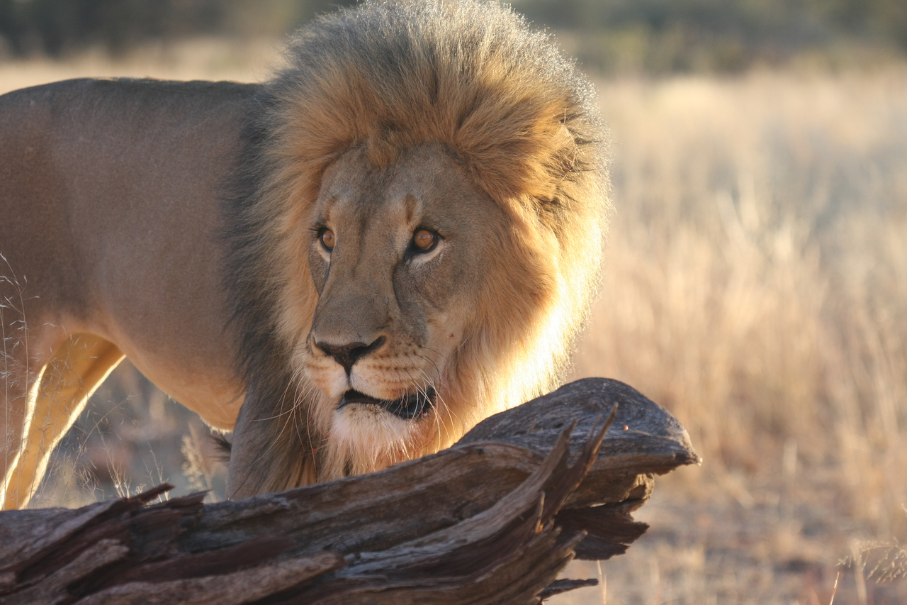 [8225] 2016_06_23_11_52_21_Africa_Canon_EOS_40D_IMG__01686.jpg