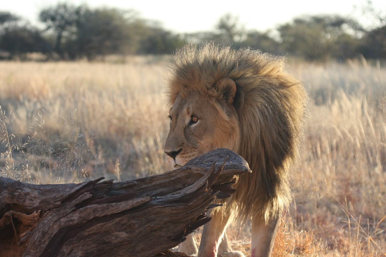 [8243] 2016_06_23_11_52_29_Africa_Canon_EOS_40D_IMG__01693.jpg
