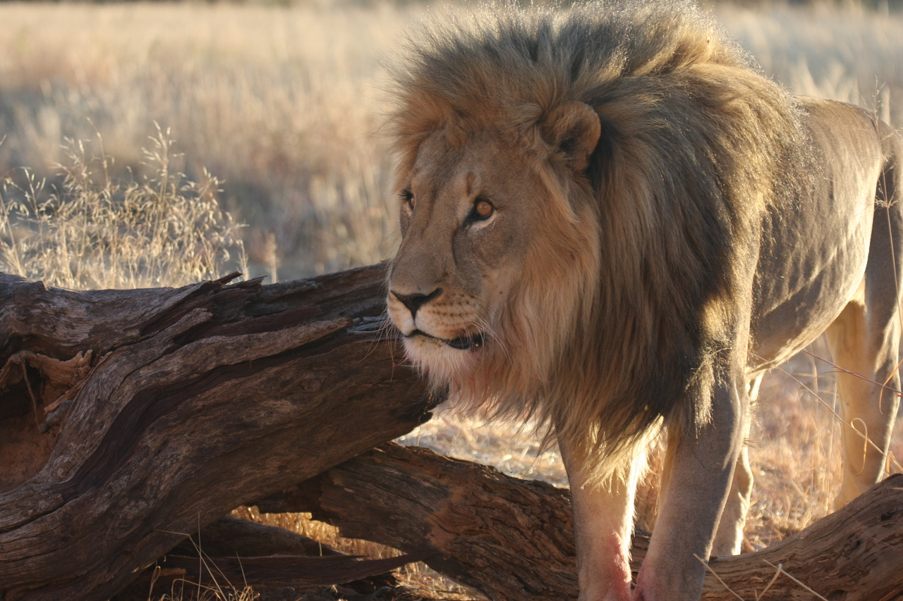 [8274] 2016_06_23_11_52_34_Africa_Canon_EOS_40D_IMG__01704.jpg