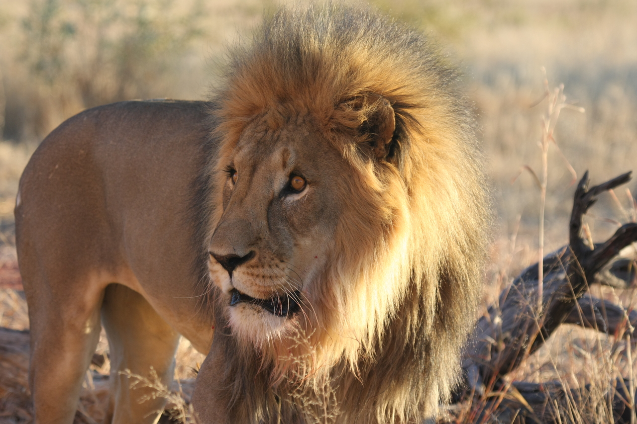 [8295] 2016_06_23_11_53_33_Africa_Canon_EOS_40D_IMG__00879.jpg