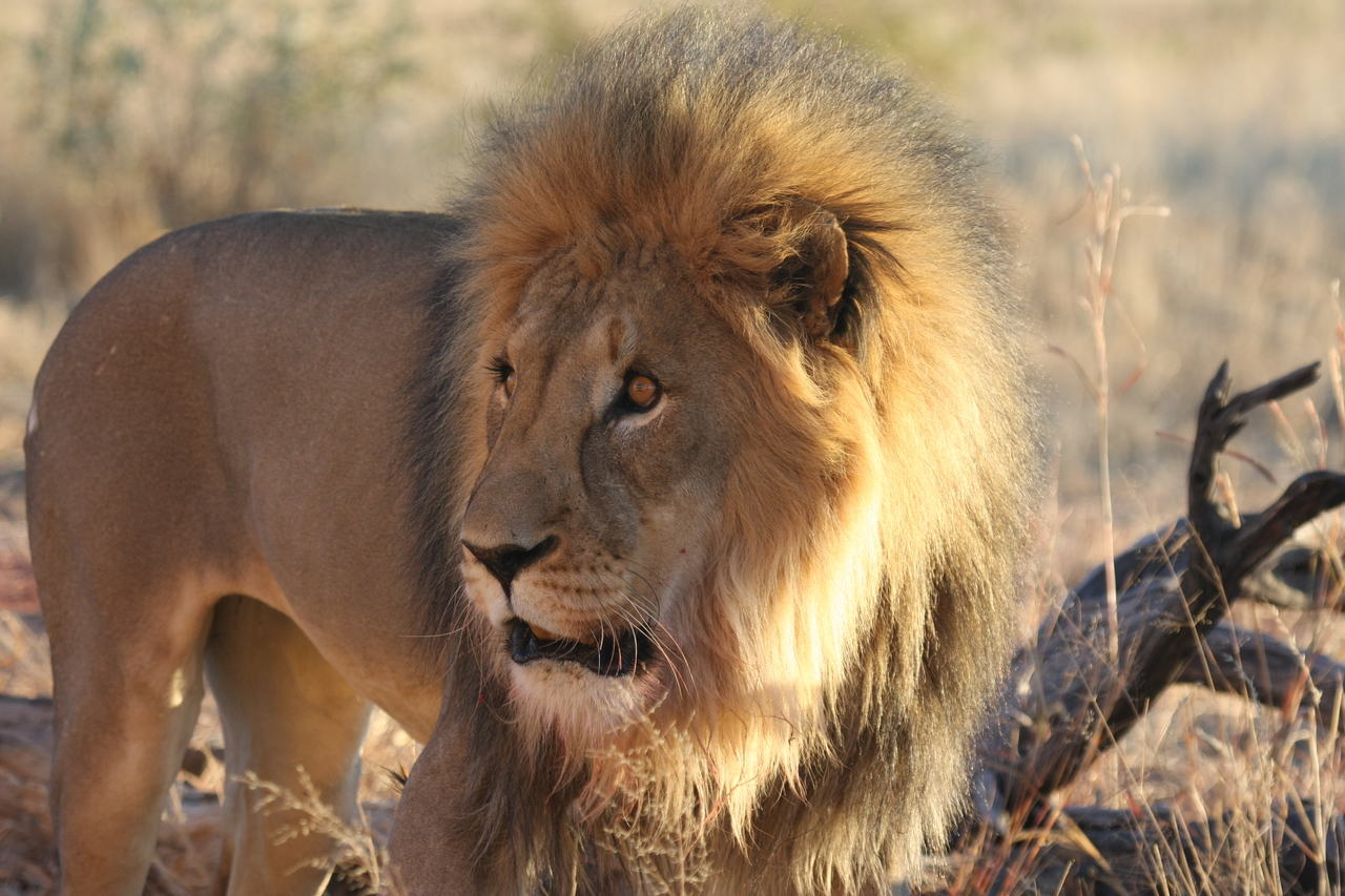 [8297] 2016_06_23_11_53_33_Africa_Canon_EOS_40D_IMG__01712.jpg