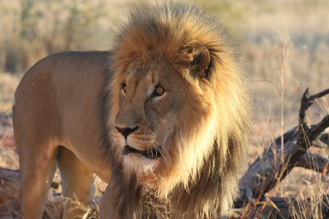 [8303] 2016_06_23_11_53_34_Africa_Canon_EOS_40D_IMG__00881.jpg