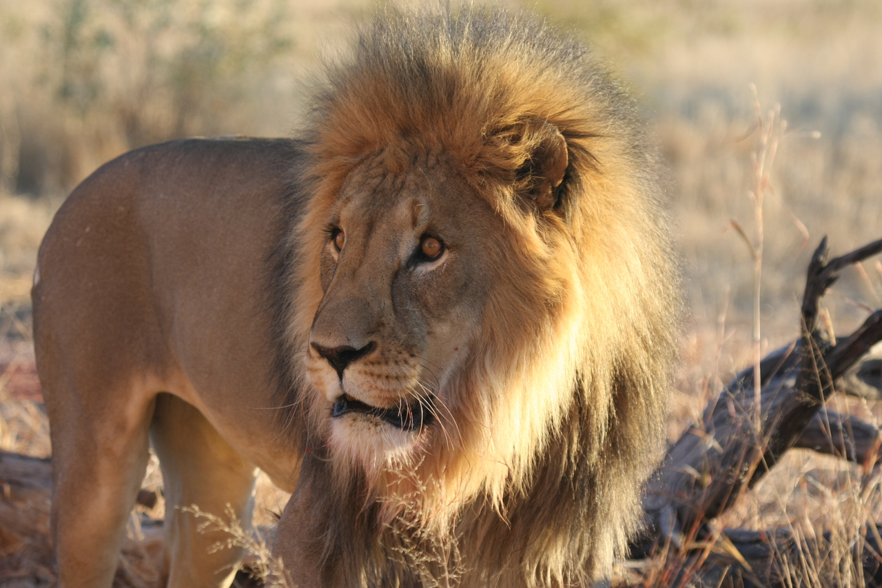 [8306] 2016_06_23_11_53_34_Africa_Canon_EOS_40D_IMG__09161.jpg