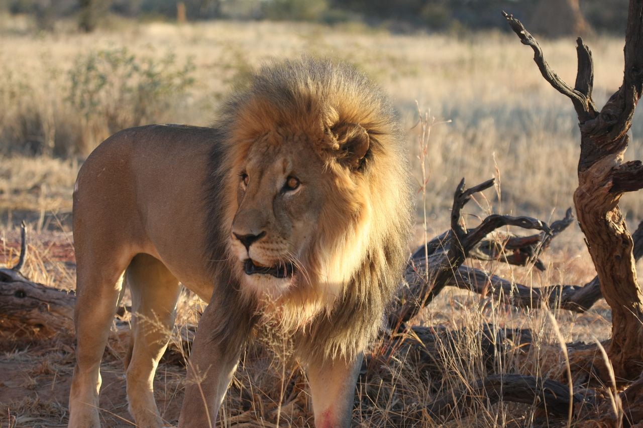 [8320] 2016_06_23_11_53_40_Africa_Canon_EOS_40D_IMG__01720.jpg