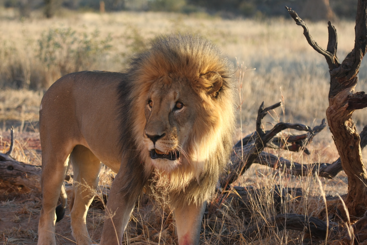 [8321] 2016_06_23_11_53_40_Africa_Canon_EOS_40D_IMG__09166.jpg