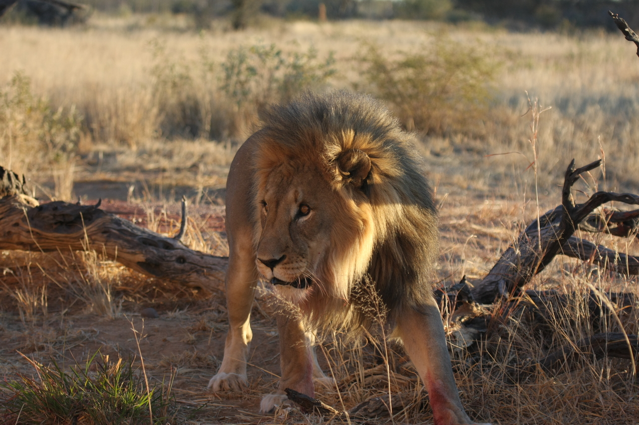 [8329] 2016_06_23_11_53_45_Africa_Canon_EOS_40D_IMG__00890.jpg