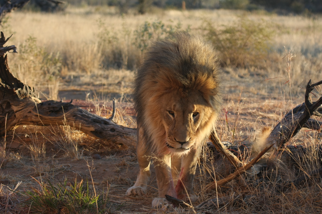 [8341] 2016_06_23_11_53_46_Africa_Canon_EOS_40D_IMG__01727.jpg
