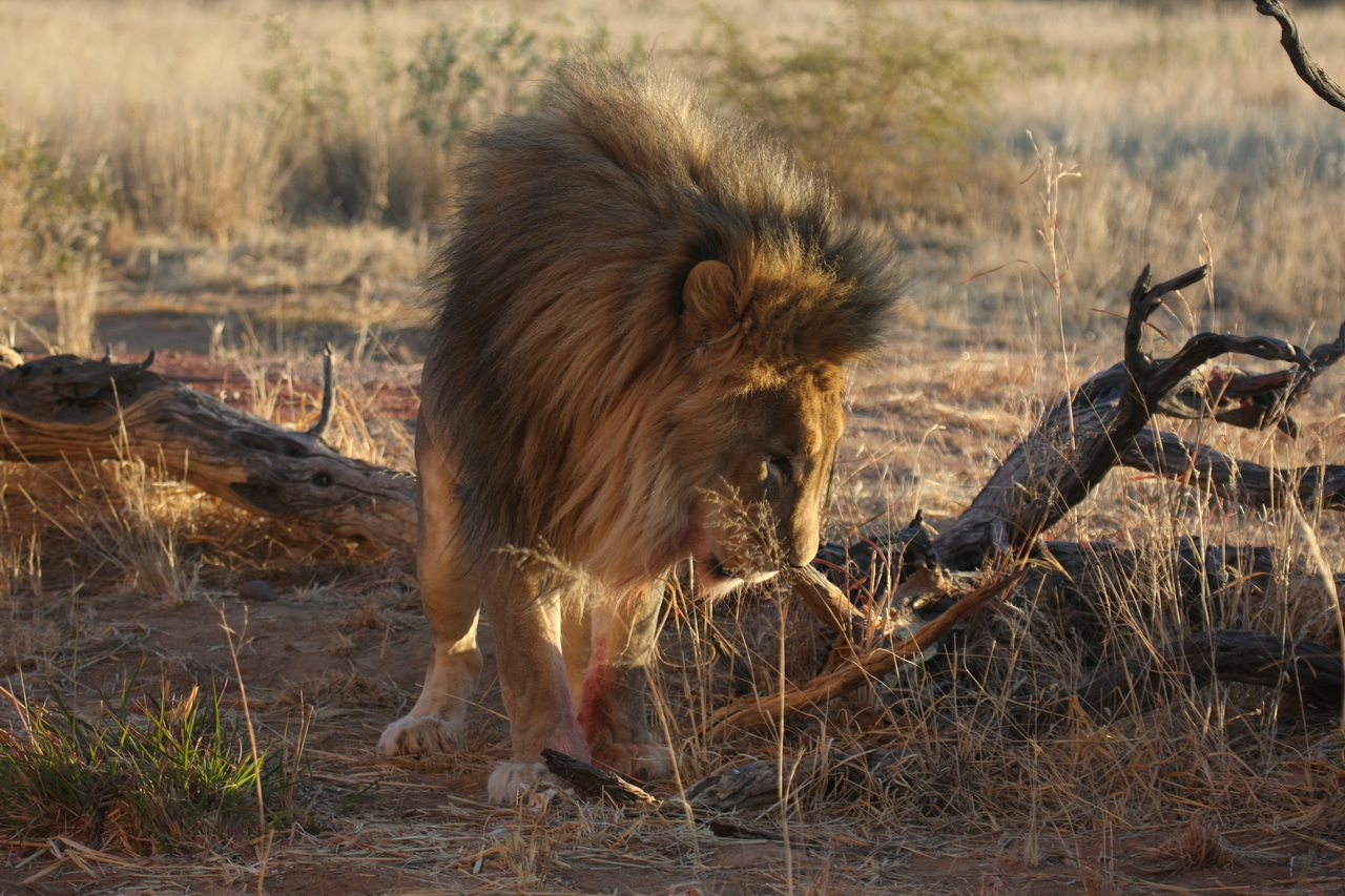 [8346] 2016_06_23_11_53_46_Africa_Canon_EOS_40D_IMG__09176.jpg
