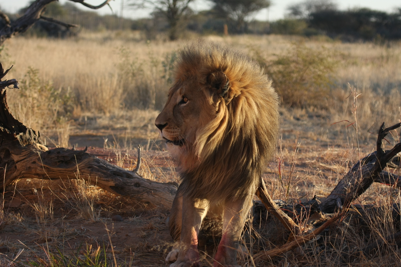 [8352] 2016_06_23_11_53_53_Africa_Canon_EOS_40D_IMG__00900.jpg