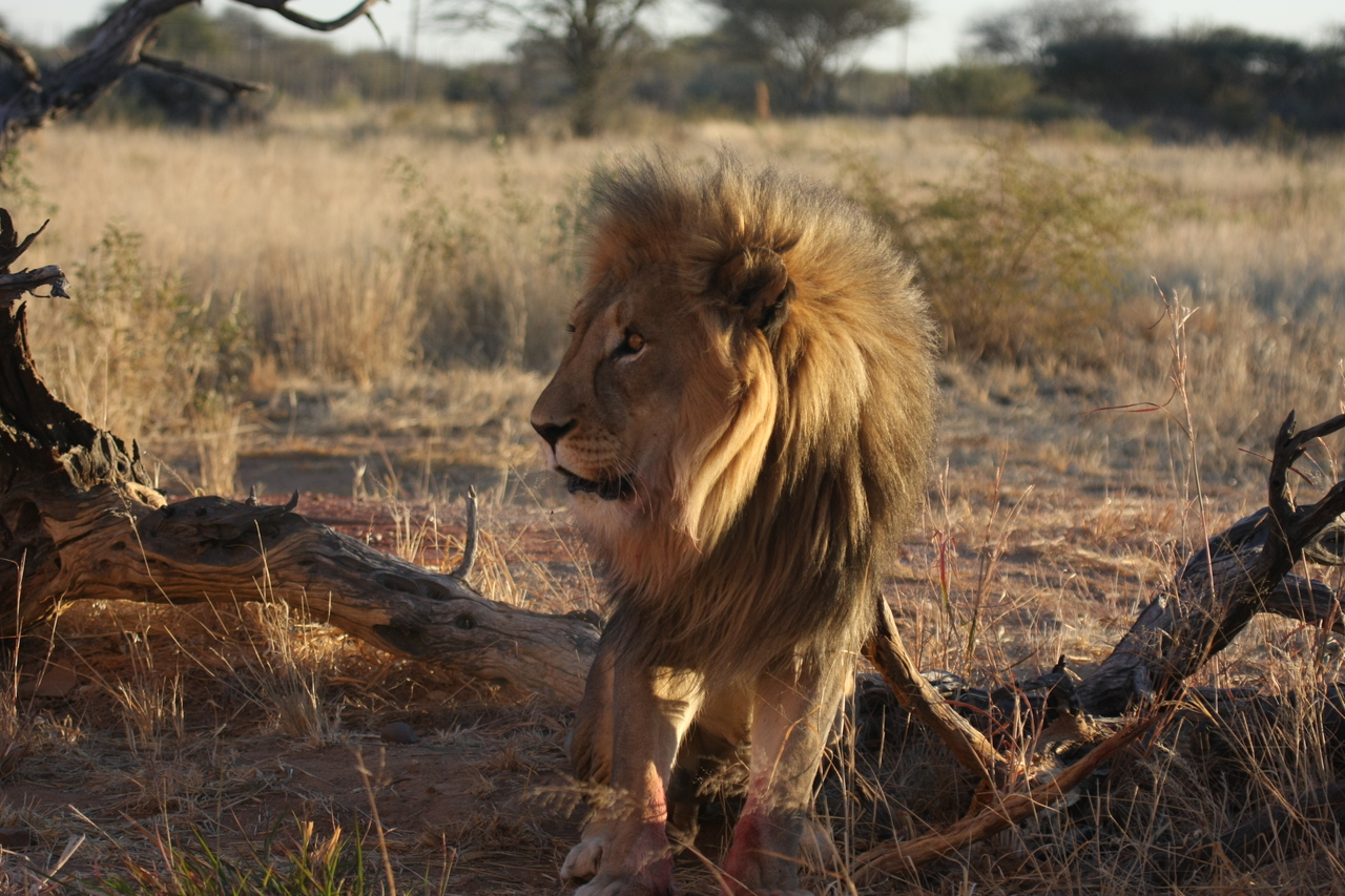 [8357] 2016_06_23_11_53_53_Africa_Canon_EOS_40D_IMG__09180.jpg
