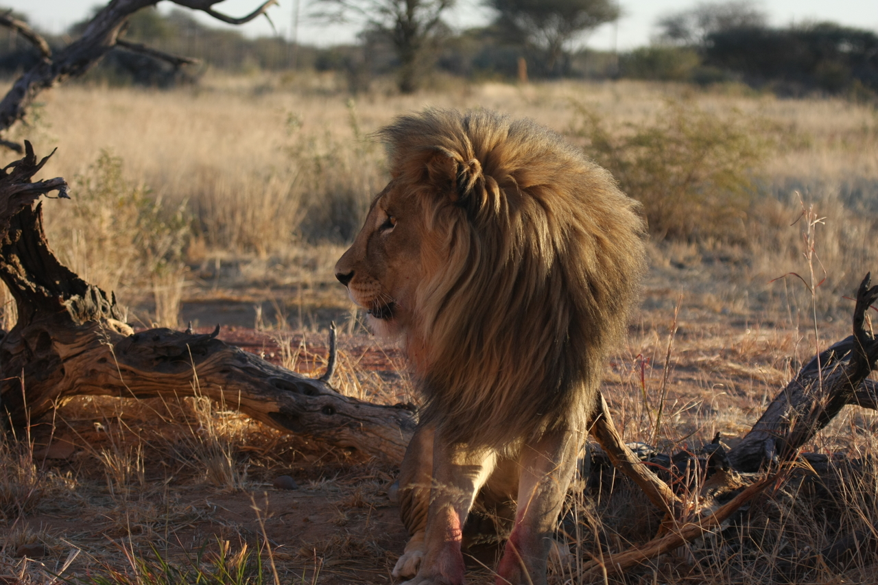 [8361] 2016_06_23_11_53_57_Africa_Canon_EOS_40D_IMG__00903.jpg