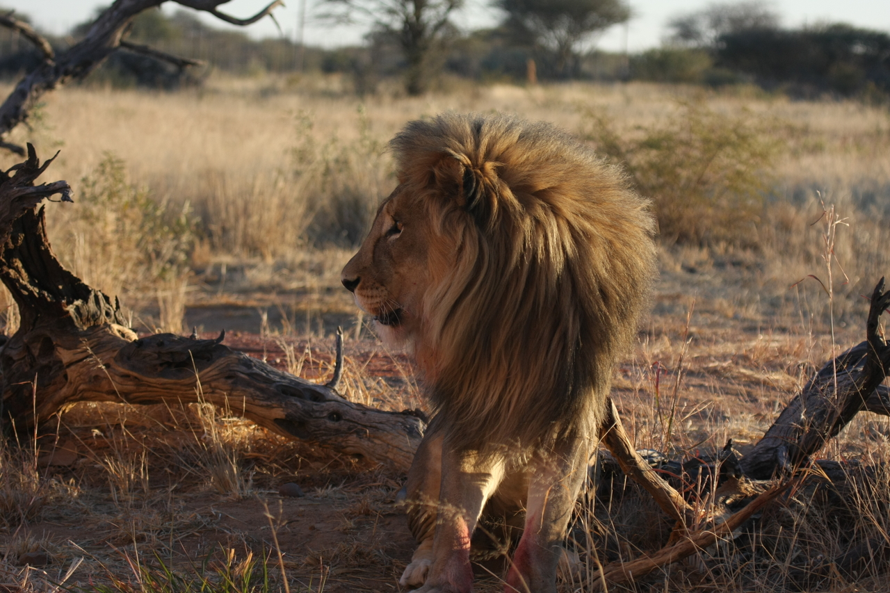 [8370] 2016_06_23_11_53_58_Africa_Canon_EOS_40D_IMG__00904.jpg