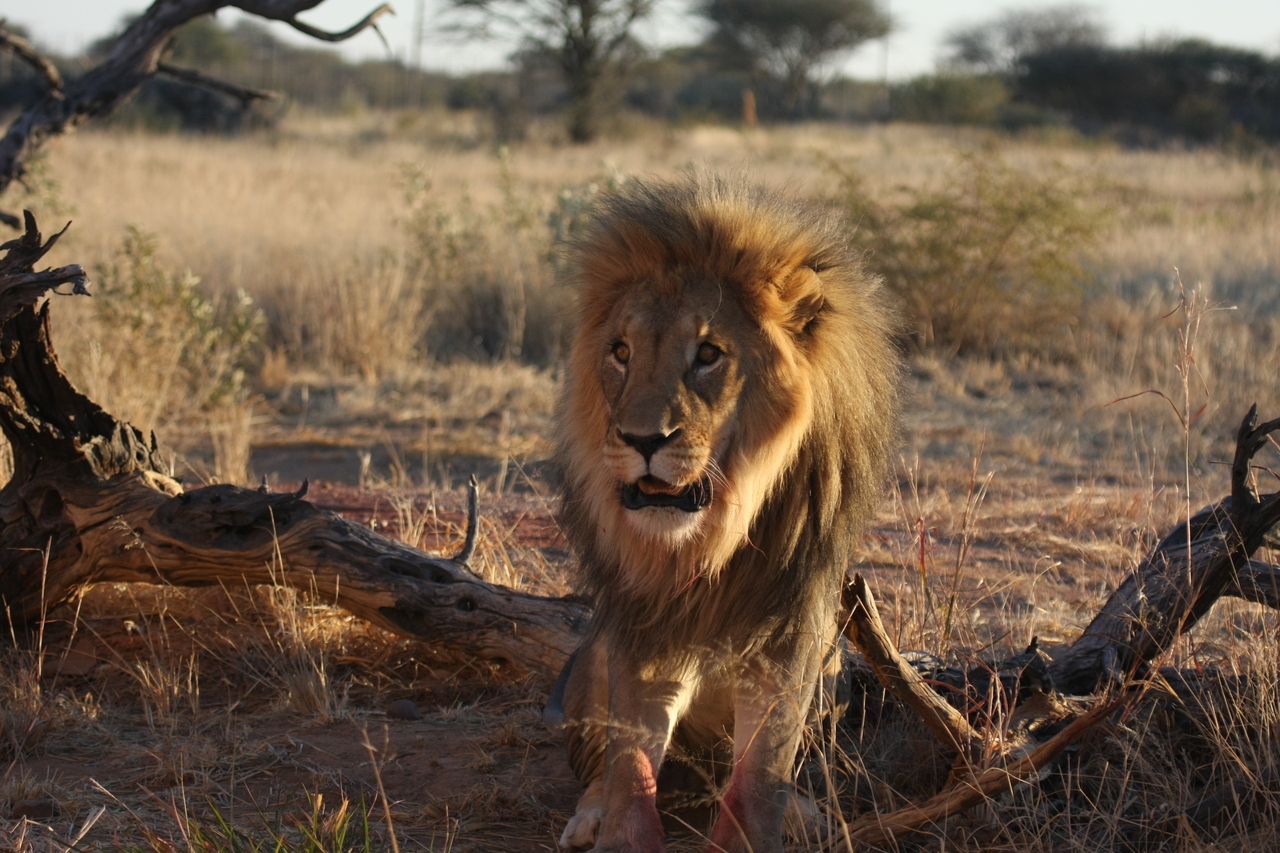 [8376] 2016_06_23_11_54_03_Africa_Canon_EOS_40D_IMG__00906.jpg