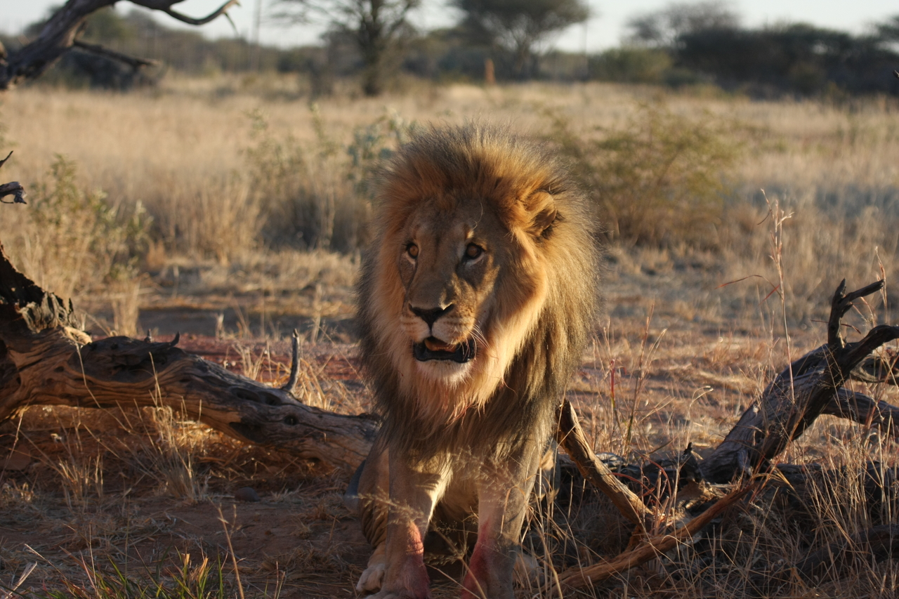 [8377] 2016_06_23_11_54_03_Africa_Canon_EOS_40D_IMG__00907.jpg