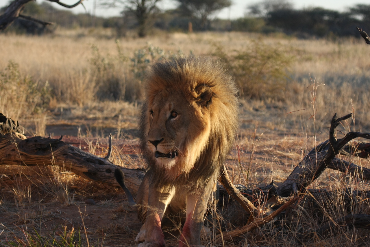 [8385] 2016_06_23_11_54_04_Africa_Canon_EOS_40D_IMG__00910.jpg