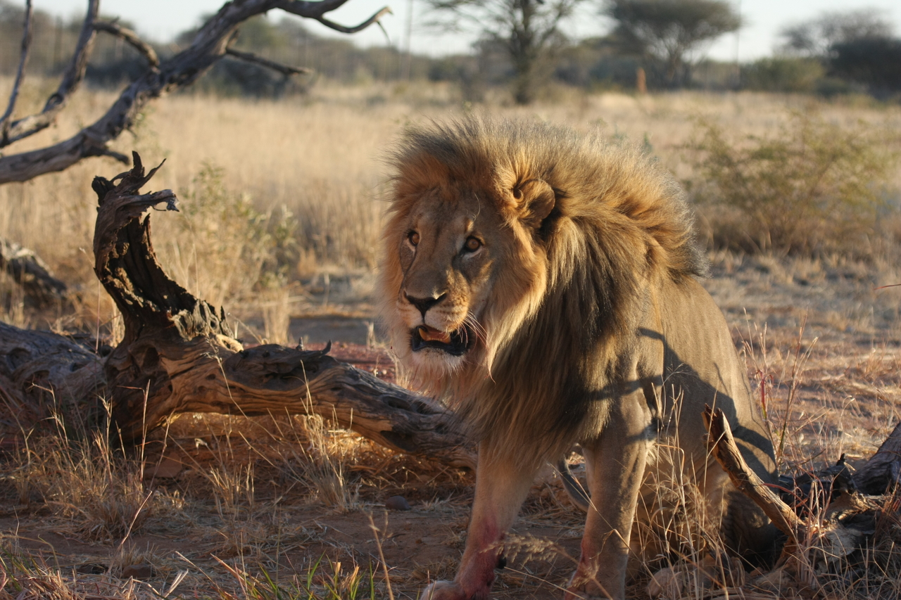 [8392] 2016_06_23_11_54_12_Africa_Canon_EOS_40D_IMG__00911.jpg