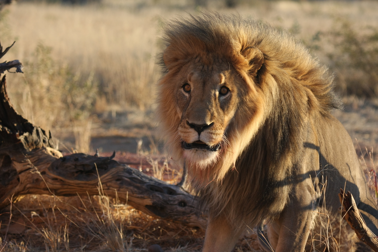 [8411] 2016_06_23_11_54_14_Africa_Canon_EOS_40D_IMG__01751.jpg