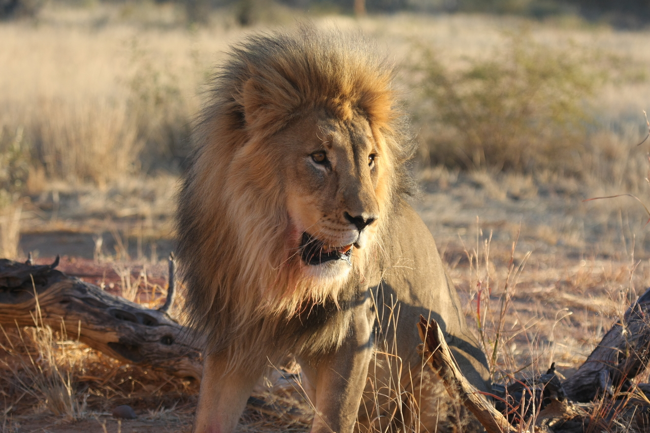 [8493] 2016_06_23_11_54_33_Africa_Canon_EOS_40D_IMG__00943.jpg