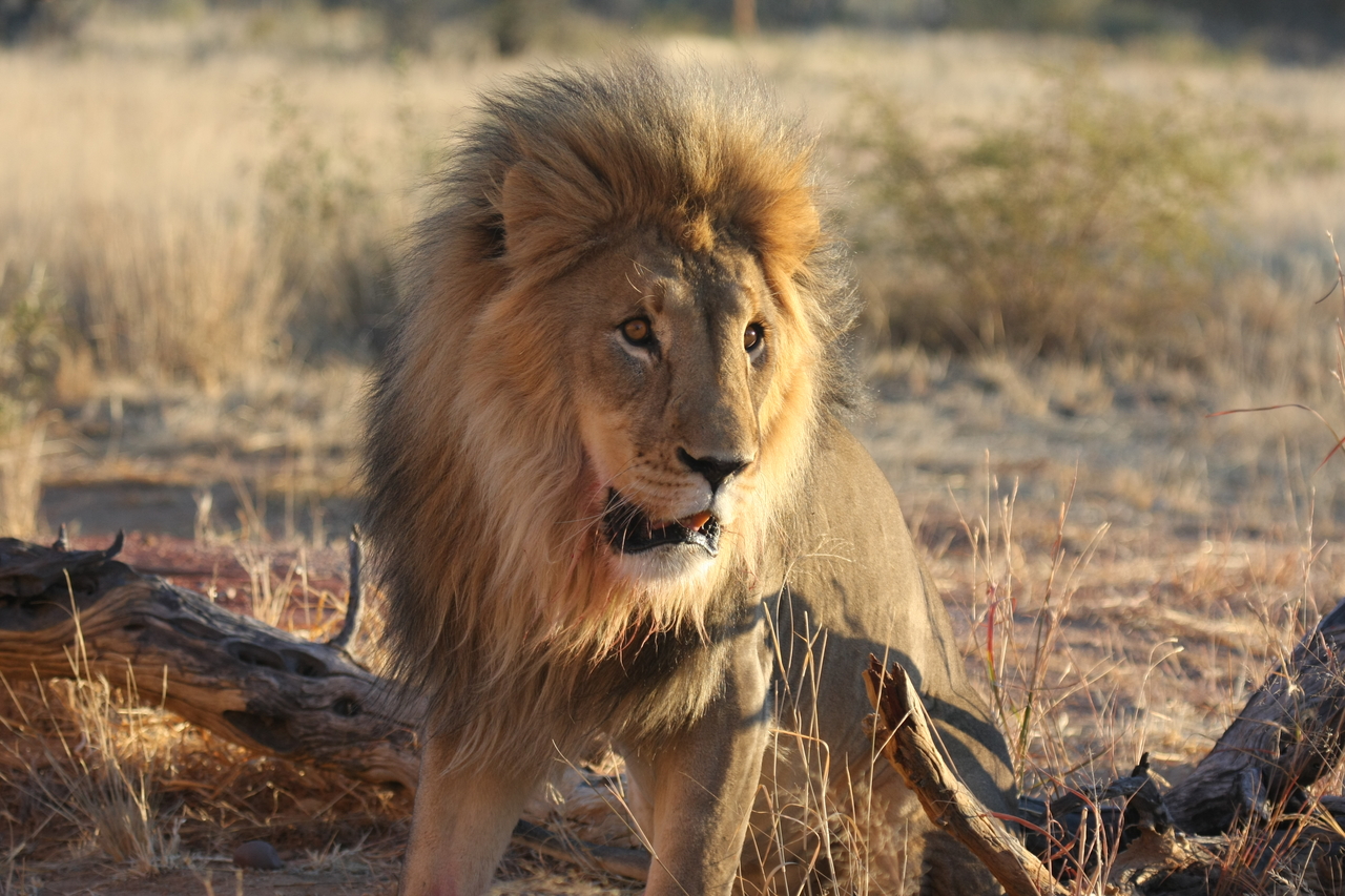[8494] 2016_06_23_11_54_33_Africa_Canon_EOS_40D_IMG__00944.jpg