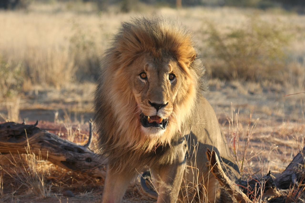 [8504] 2016_06_23_11_54_34_Africa_Canon_EOS_40D_IMG__00948.jpg