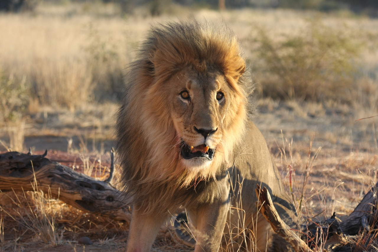 [8509] 2016_06_23_11_54_34_Africa_Canon_EOS_40D_IMG__09228.jpg