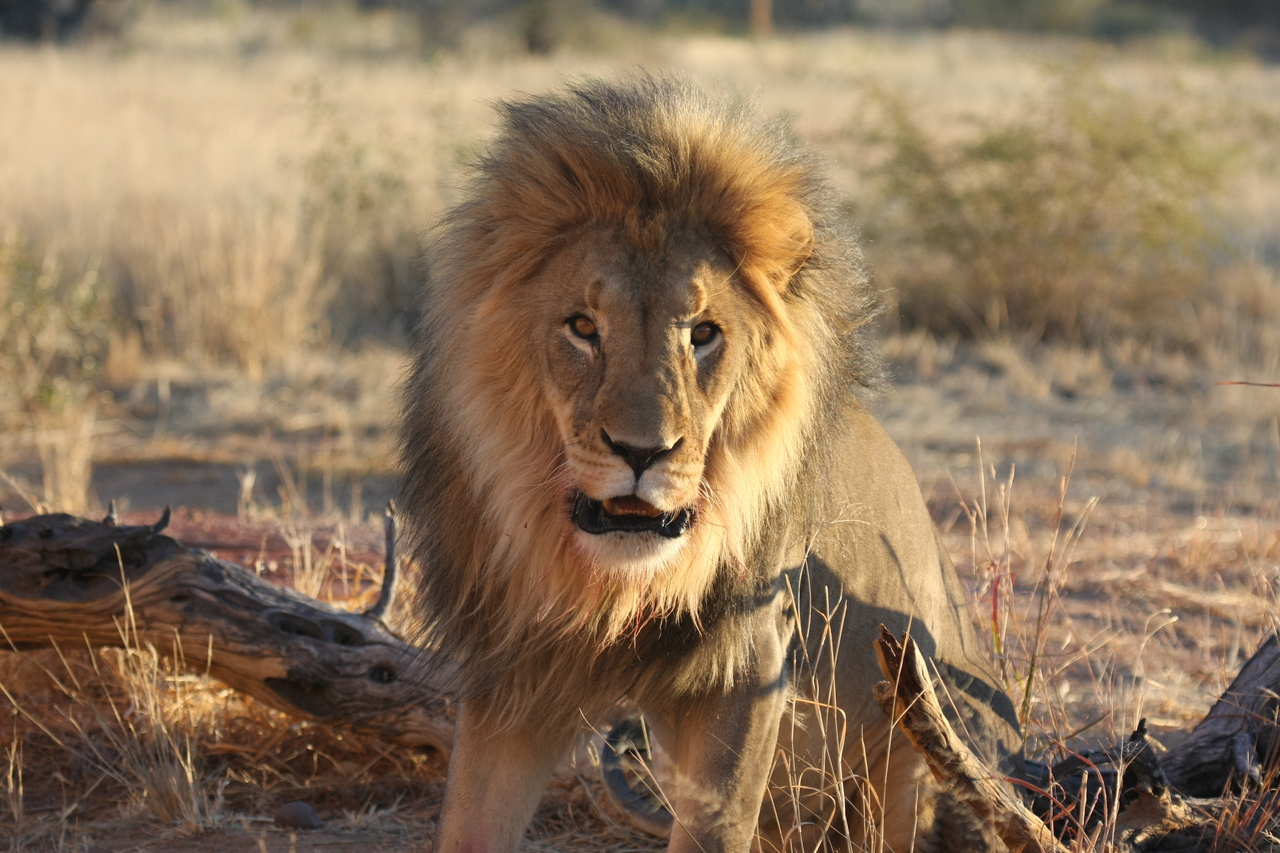 [8521] 2016_06_23_11_54_35_Africa_Canon_EOS_40D_IMG__09230.jpg