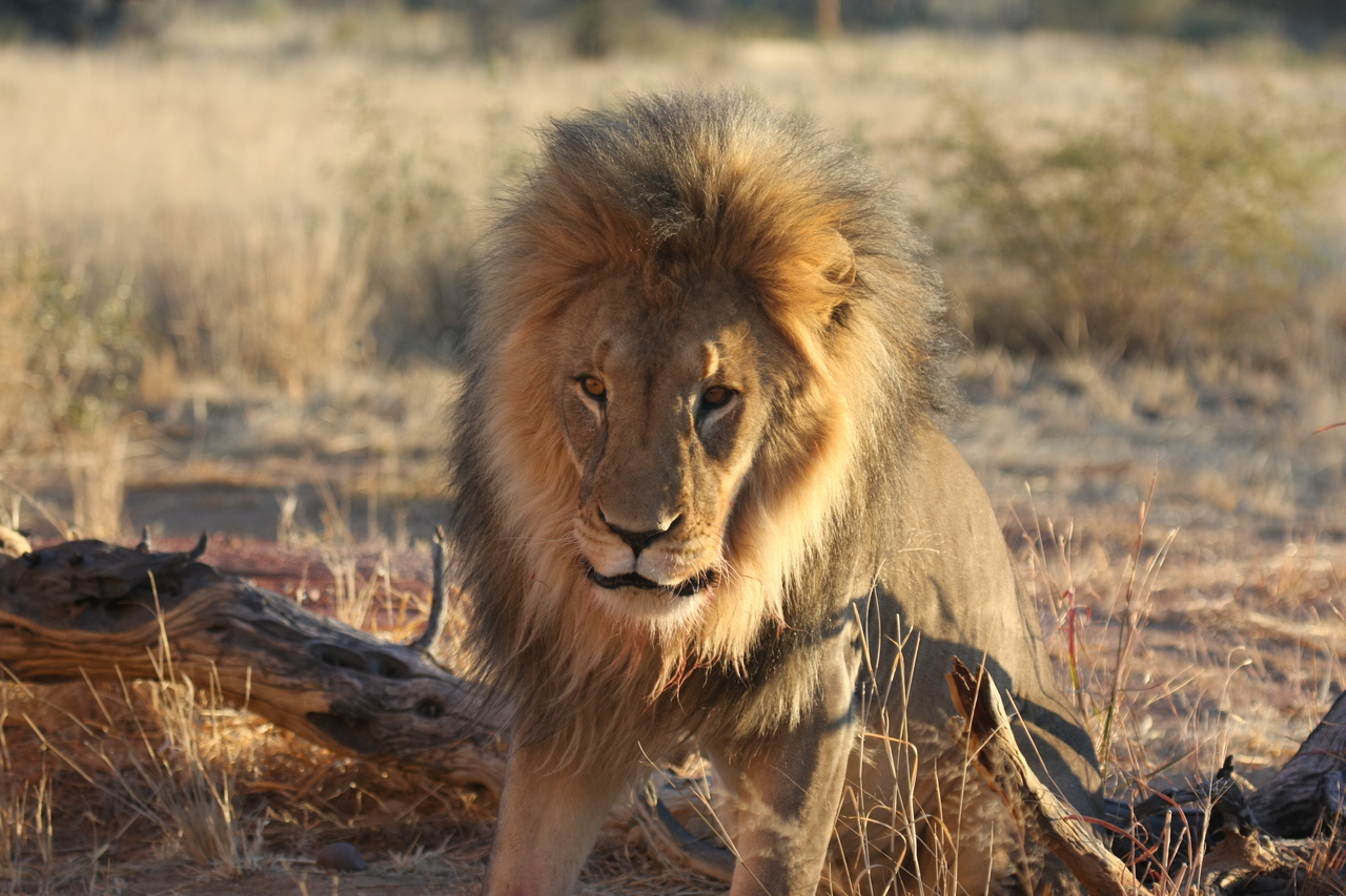 [8522] 2016_06_23_11_54_35_Africa_Canon_EOS_40D_IMG__09231.jpg