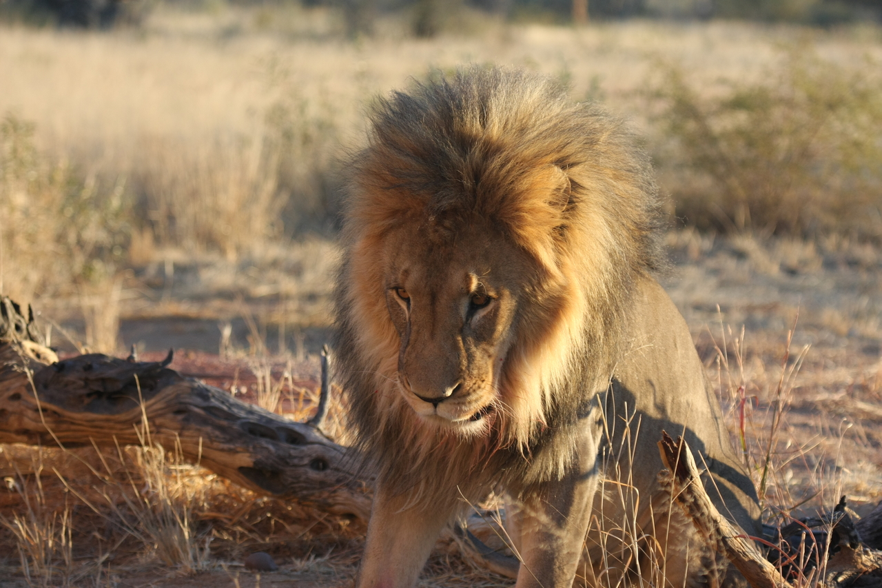 [8523] 2016_06_23_11_54_35_Africa_Canon_EOS_40D_IMG__09232.jpg