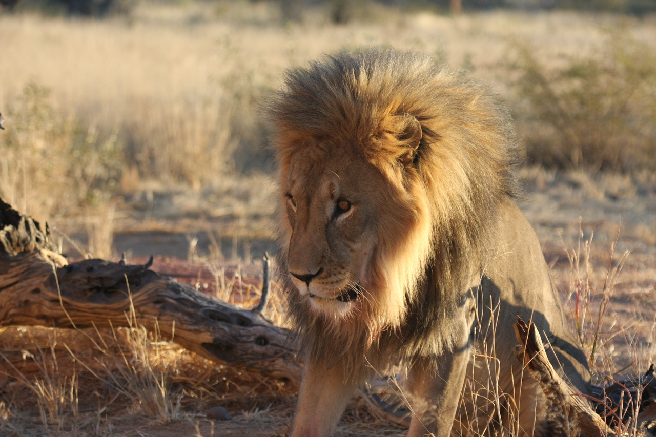 [8525] 2016_06_23_11_54_36_Africa_Canon_EOS_40D_IMG__00954.jpg