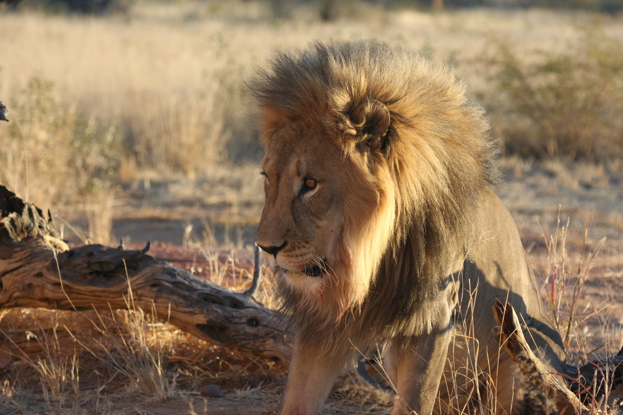 [8526] 2016_06_23_11_54_36_Africa_Canon_EOS_40D_IMG__00955.jpg