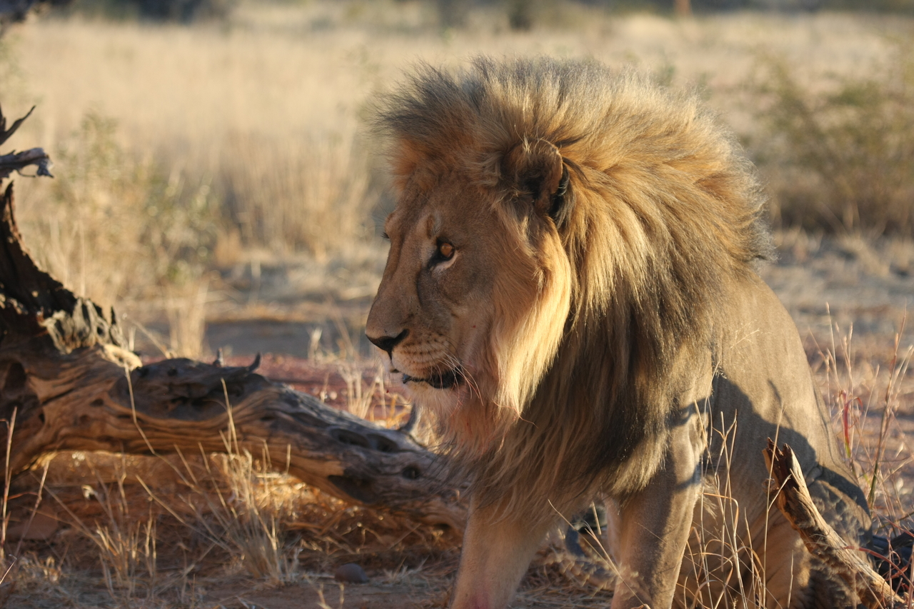 [8535] 2016_06_23_11_54_37_Africa_Canon_EOS_40D_IMG__09237.jpg