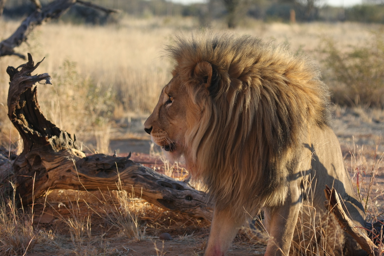 [8545] 2016_06_23_11_54_43_Africa_Canon_EOS_40D_IMG__01792.jpg