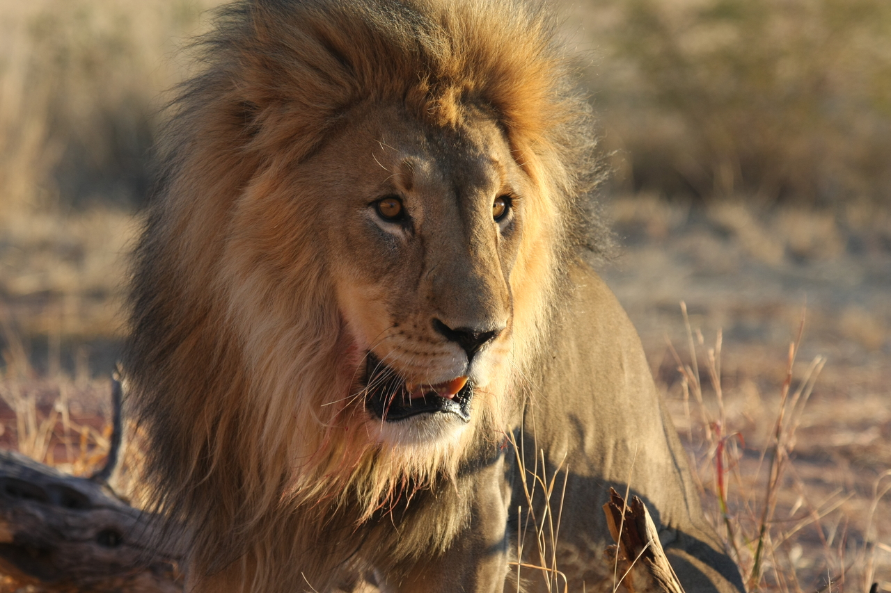 [8561] 2016_06_23_11_54_53_Africa_Canon_EOS_40D_IMG__00962.jpg