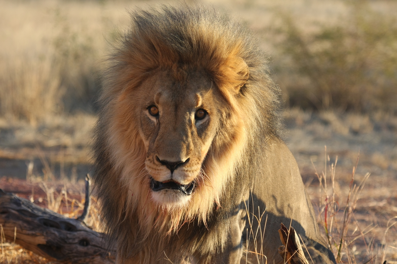 [8586] 2016_06_23_11_54_55_Africa_Canon_EOS_40D_IMG__09251.jpg