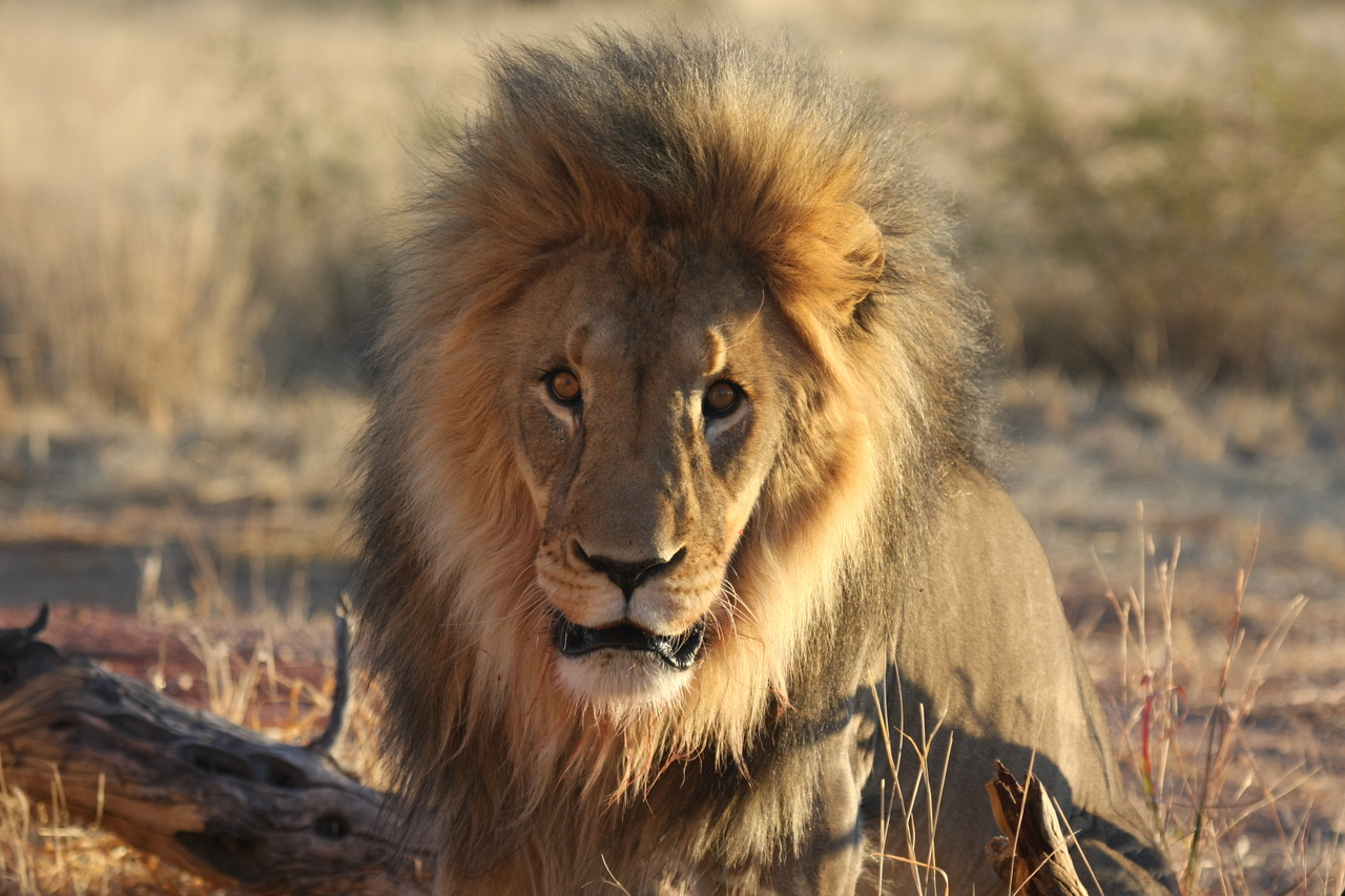 [8587] 2016_06_23_11_54_55_Africa_Canon_EOS_40D_IMG__09252.jpg