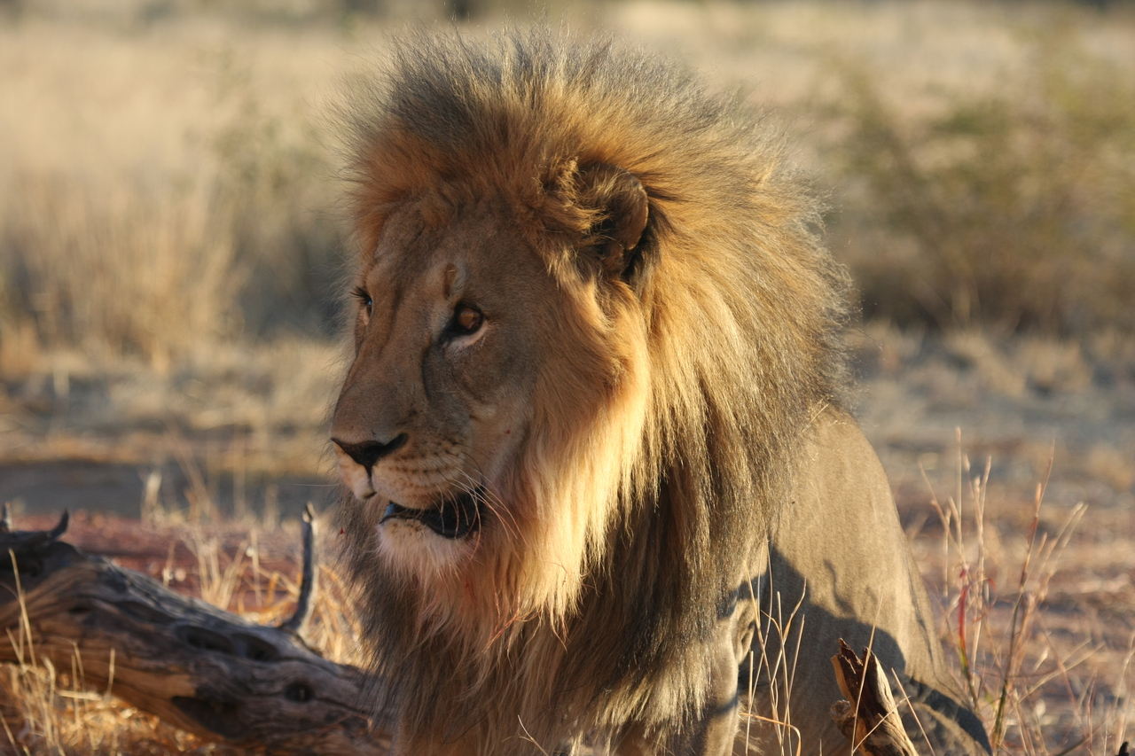 [8592] 2016_06_23_11_54_56_Africa_Canon_EOS_40D_IMG__01807.jpg