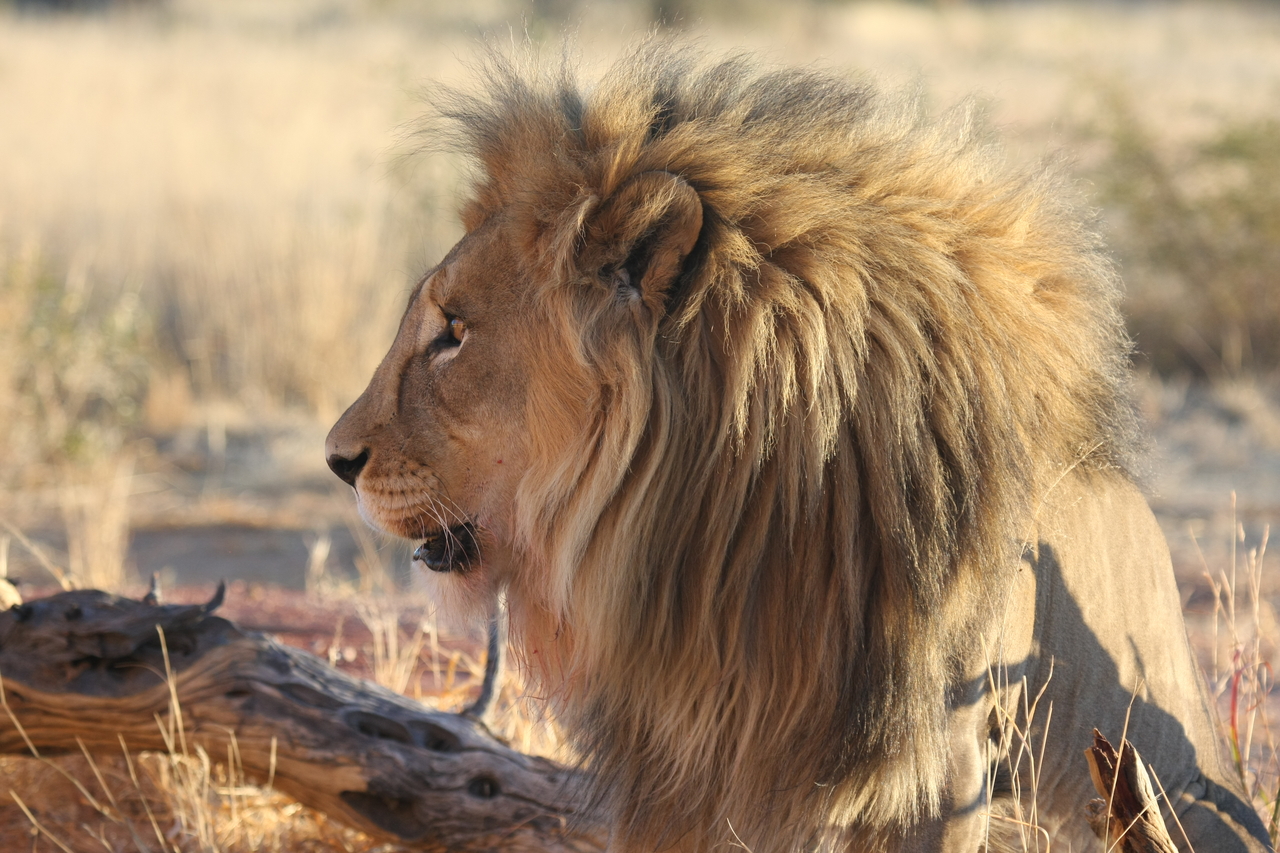 [8601] 2016_06_23_11_55_00_Africa_Canon_EOS_40D_IMG__01812.jpg
