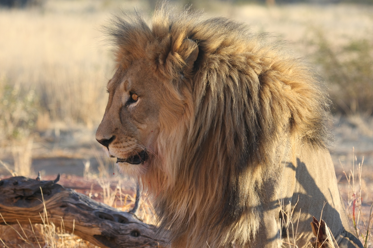 [8614] 2016_06_23_11_55_08_Africa_Canon_EOS_40D_IMG__01815.jpg