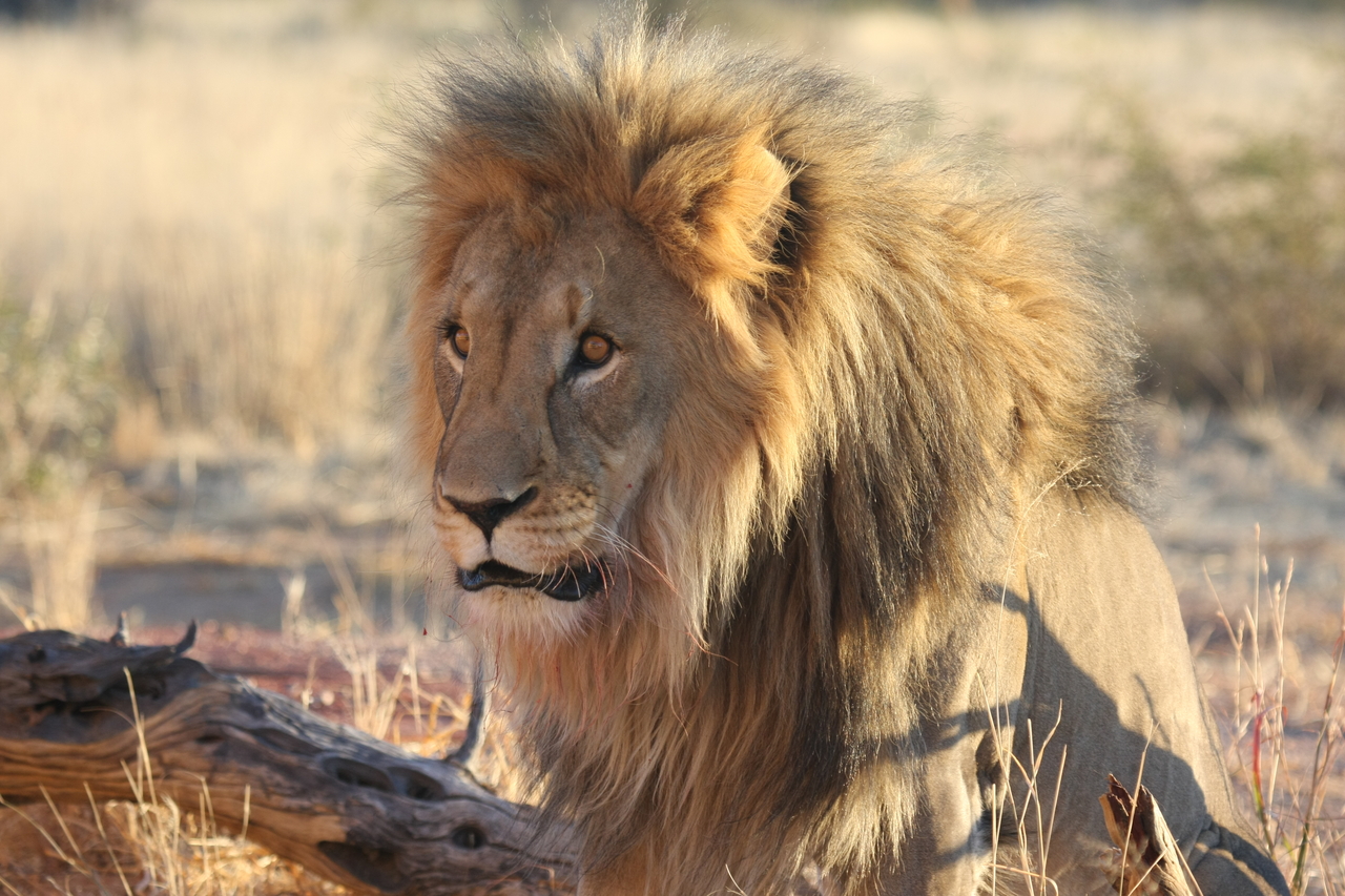 [8615] 2016_06_23_11_55_08_Africa_Canon_EOS_40D_IMG__01816.jpg