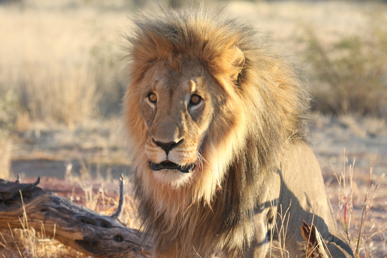 [8622] 2016_06_23_11_55_09_Africa_Canon_EOS_40D_IMG__09265.jpg