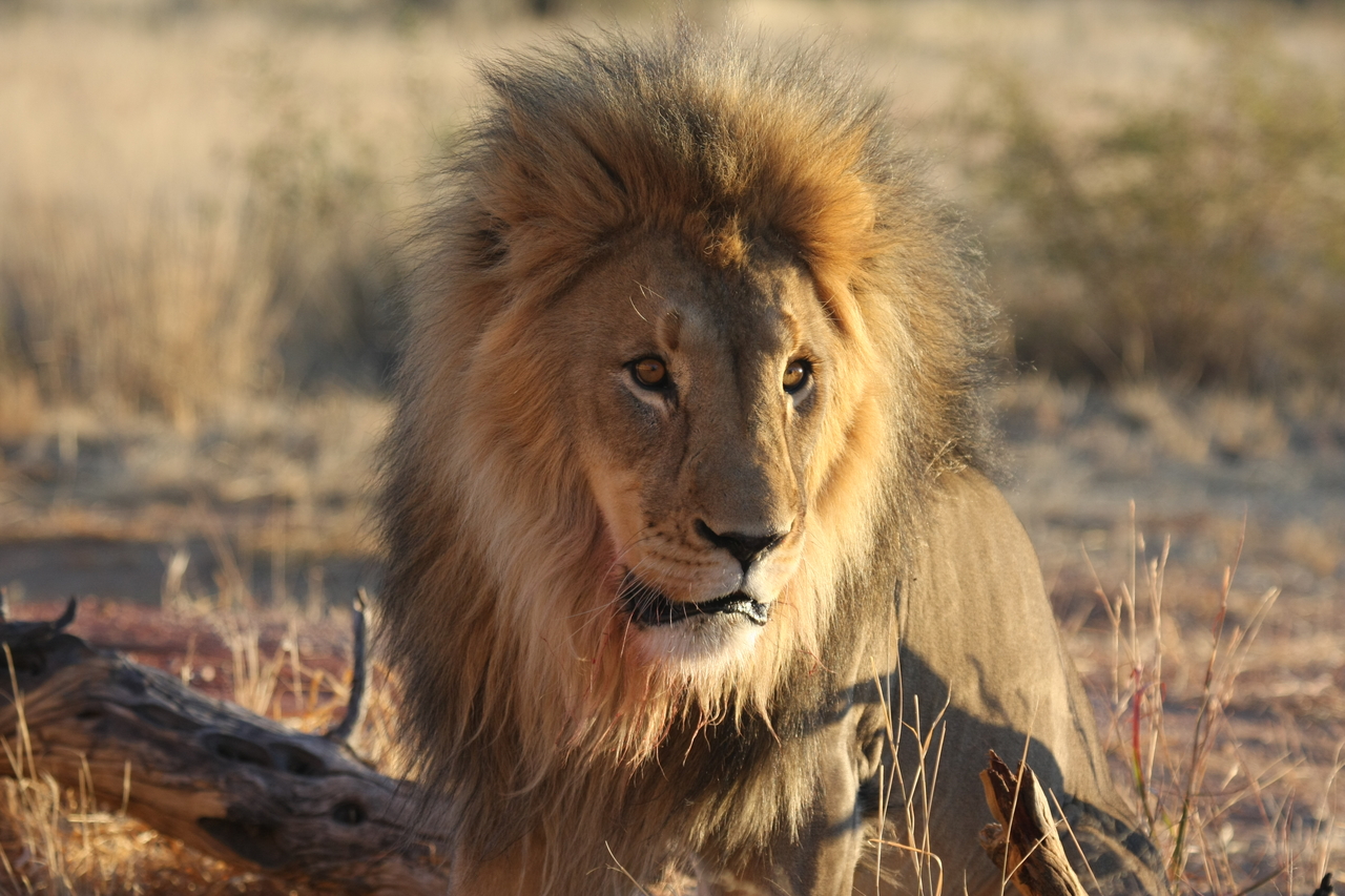 [8626] 2016_06_23_11_55_11_Africa_Canon_EOS_40D_IMG__00986.jpg