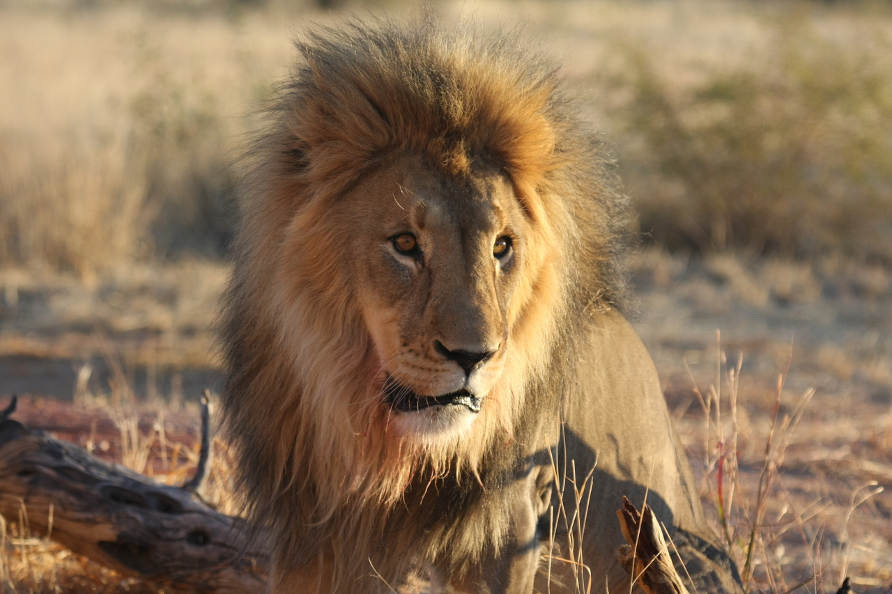 [8630] 2016_06_23_11_55_11_Africa_Canon_EOS_40D_IMG__01822.jpg