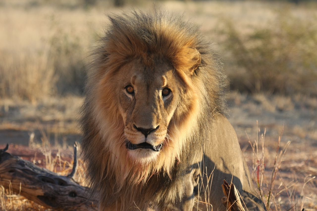 [8647] 2016_06_23_11_55_13_Africa_Canon_EOS_40D_IMG__09273.jpg