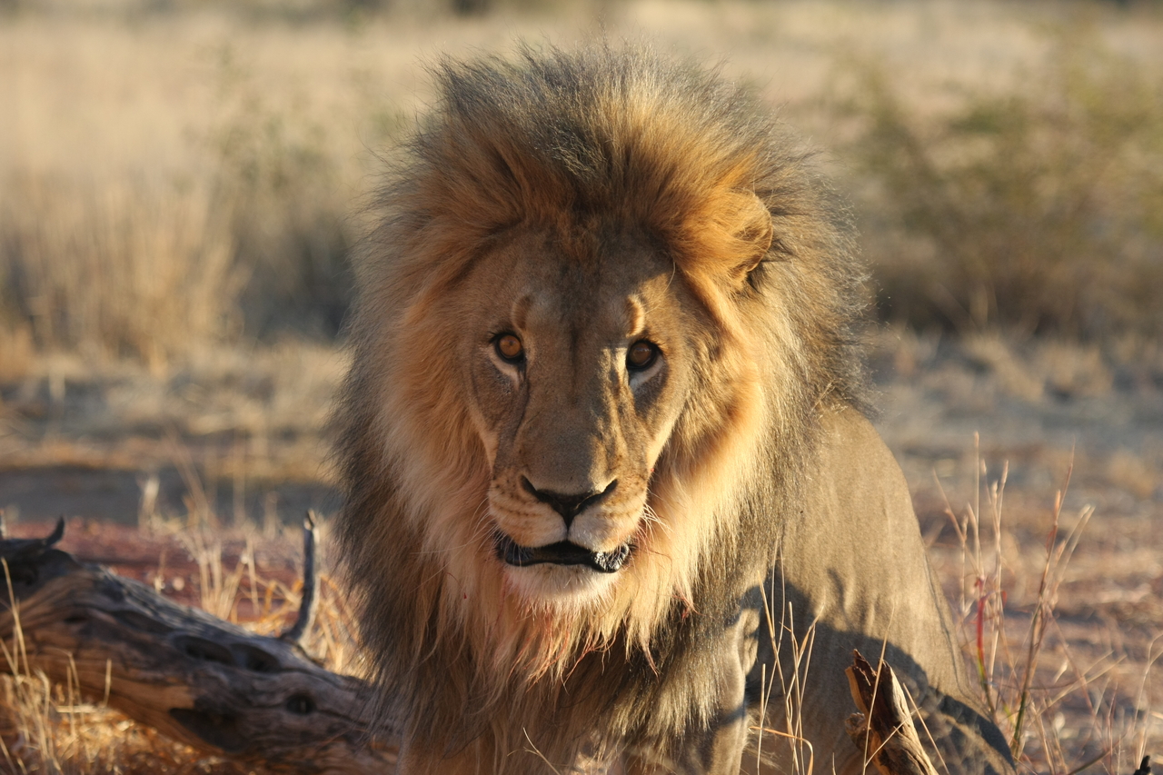 [8654] 2016_06_23_11_55_14_Africa_Canon_EOS_40D_IMG__09276.jpg