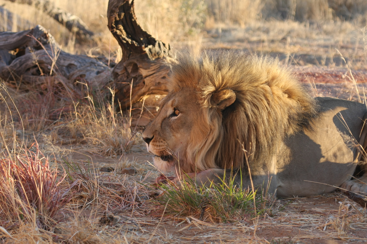[8659] 2016_06_23_11_55_36_Africa_Canon_EOS_40D_IMG__00999.jpg