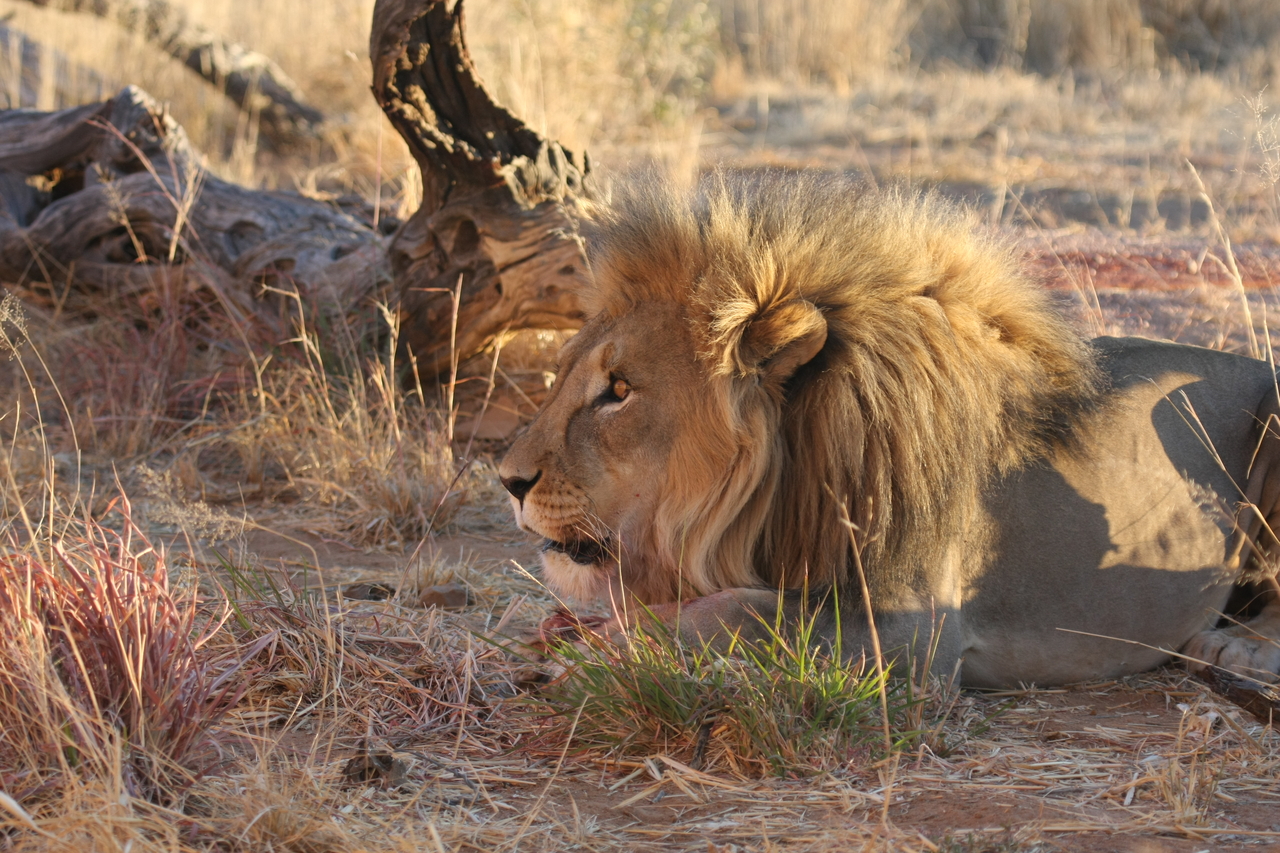 [8660] 2016_06_23_11_55_36_Africa_Canon_EOS_40D_IMG__01000.jpg