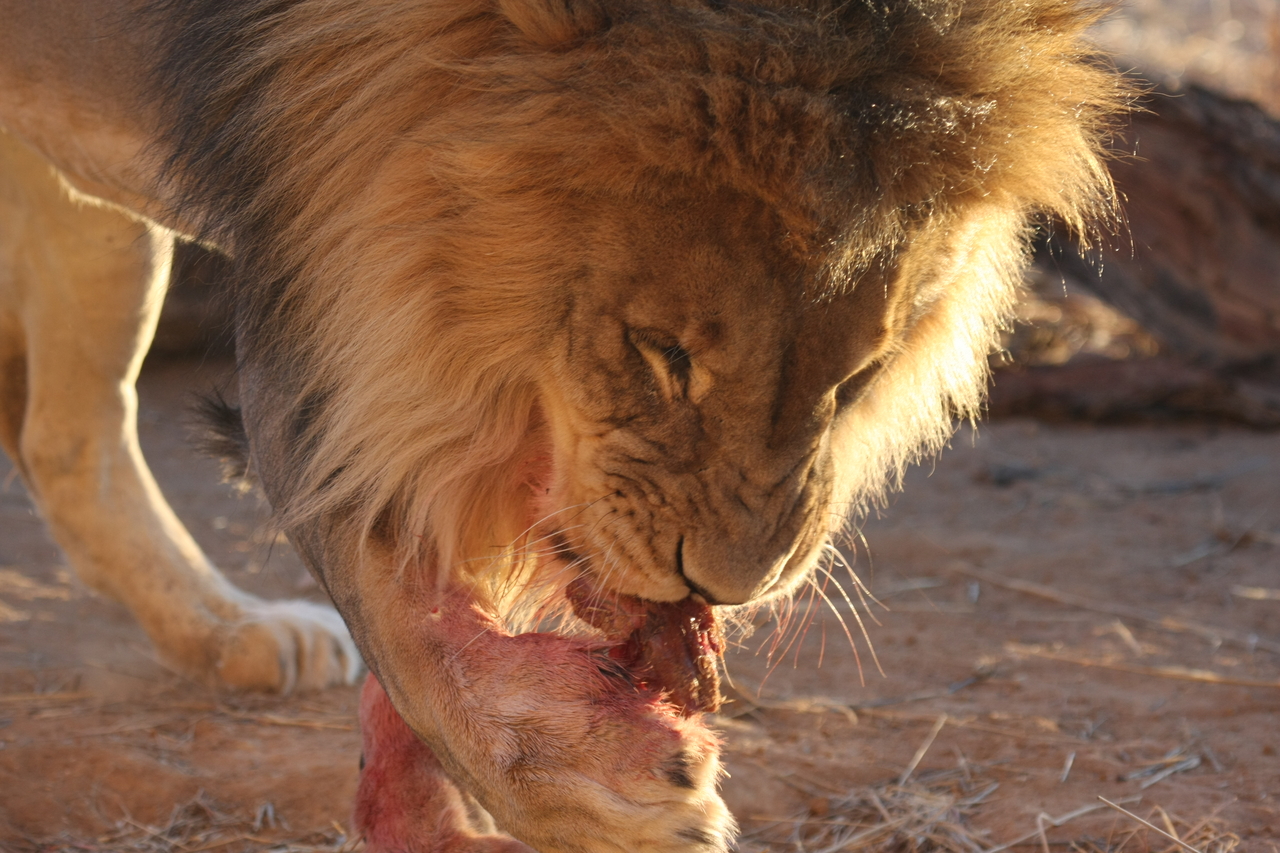 [8708] 2016_06_23_11_56_40_Africa_Canon_EOS_40D_IMG__01842.jpg